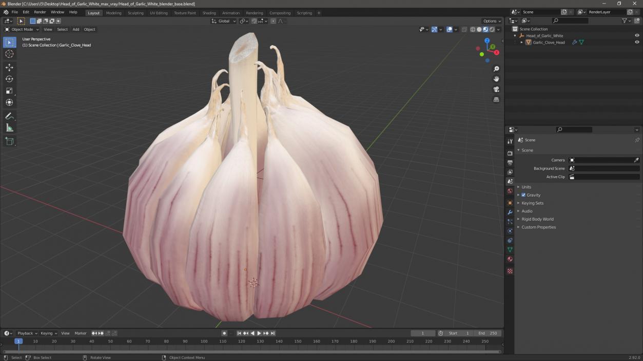 3D model Head of Garlic White