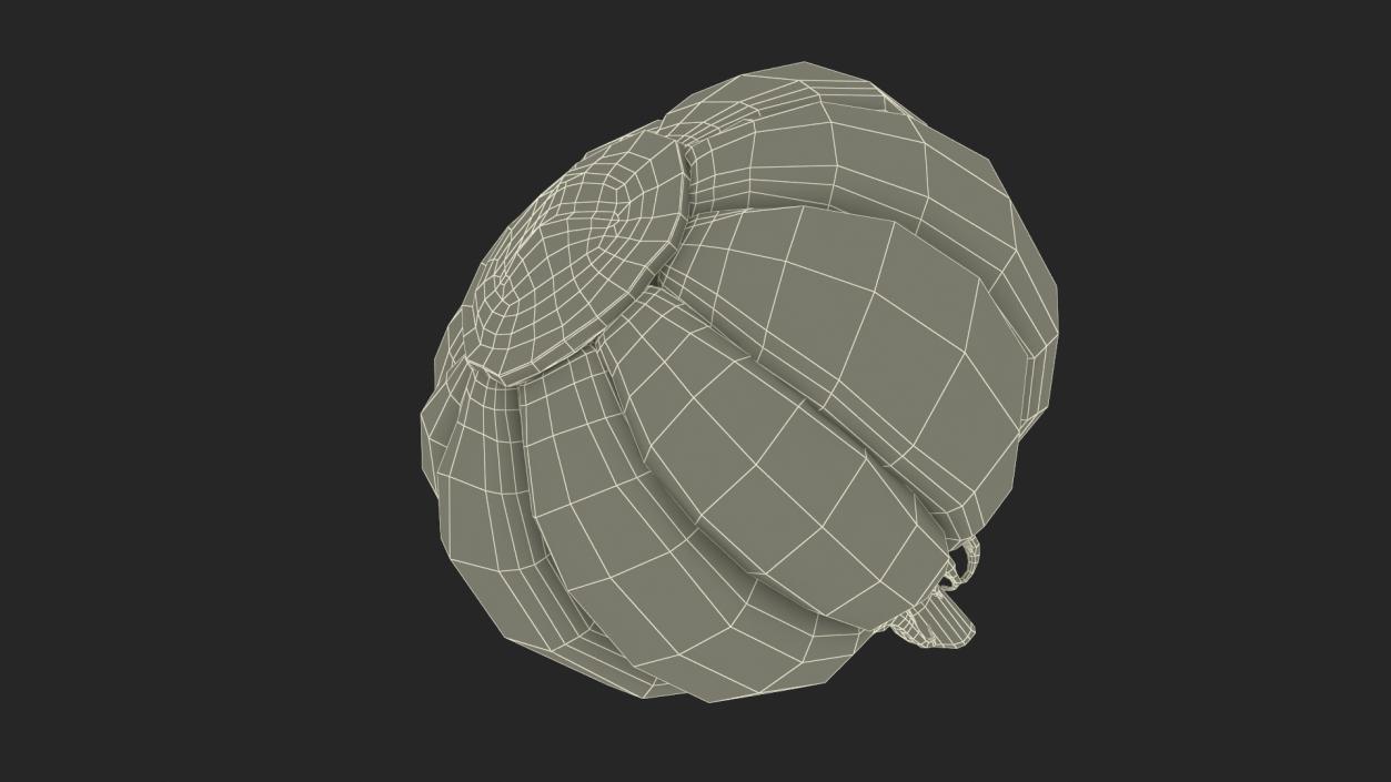 3D model Head of Garlic White