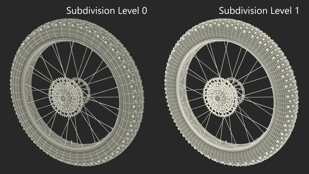 3D Fat Bike Wheel 2