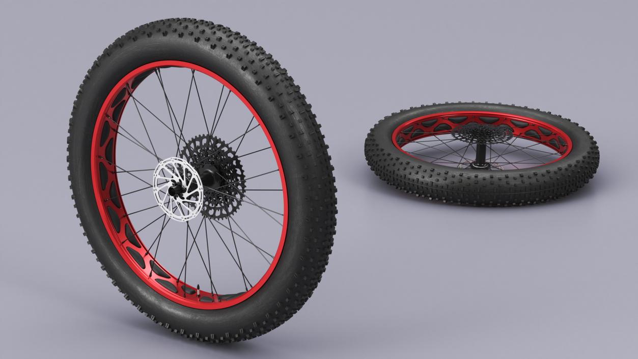 3D Fat Bike Wheel 2