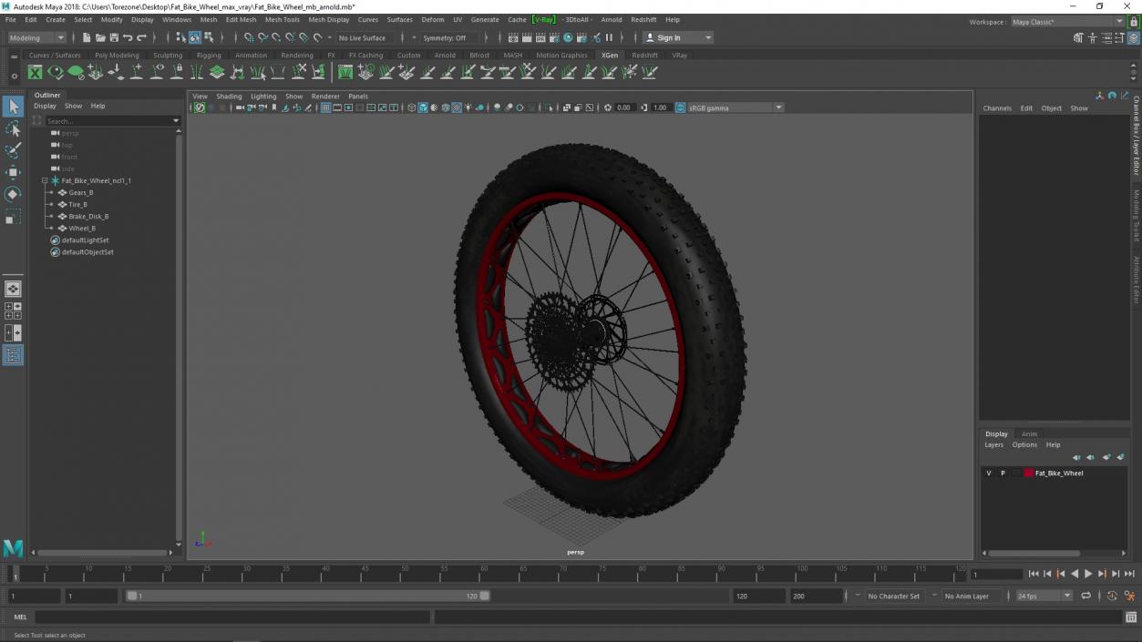 3D Fat Bike Wheel 2