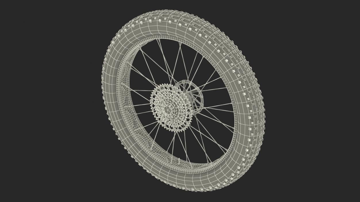 3D Fat Bike Wheel 2