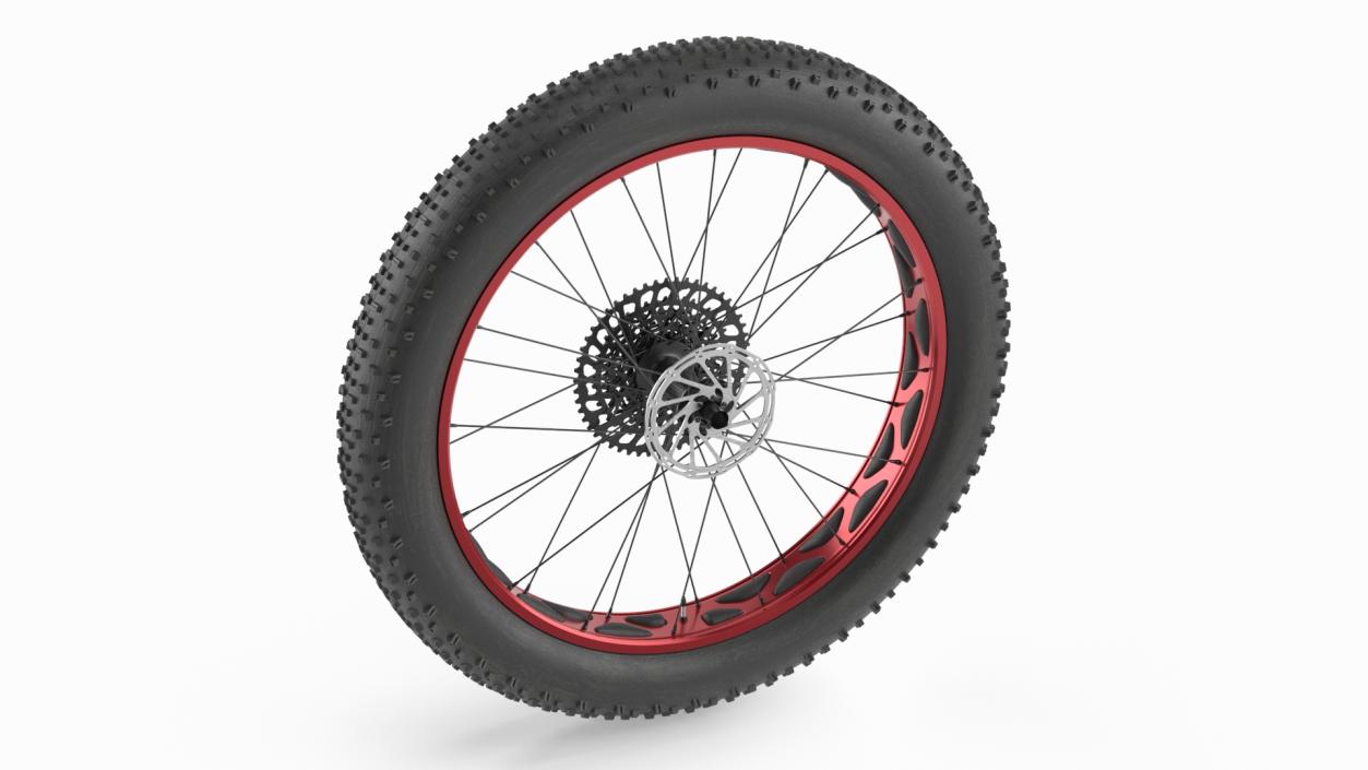 3D Fat Bike Wheel 2