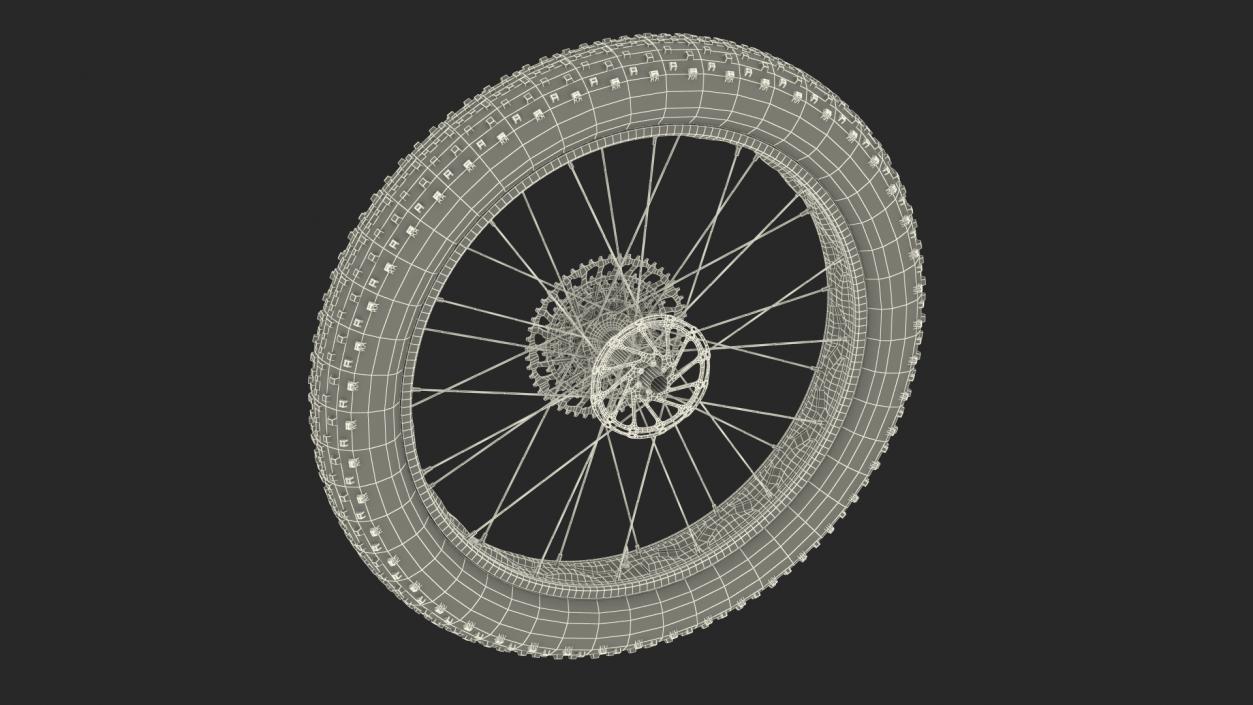 3D Fat Bike Wheel 2