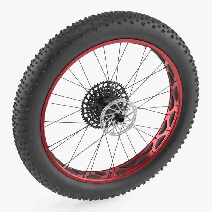 3D Fat Bike Wheel 2