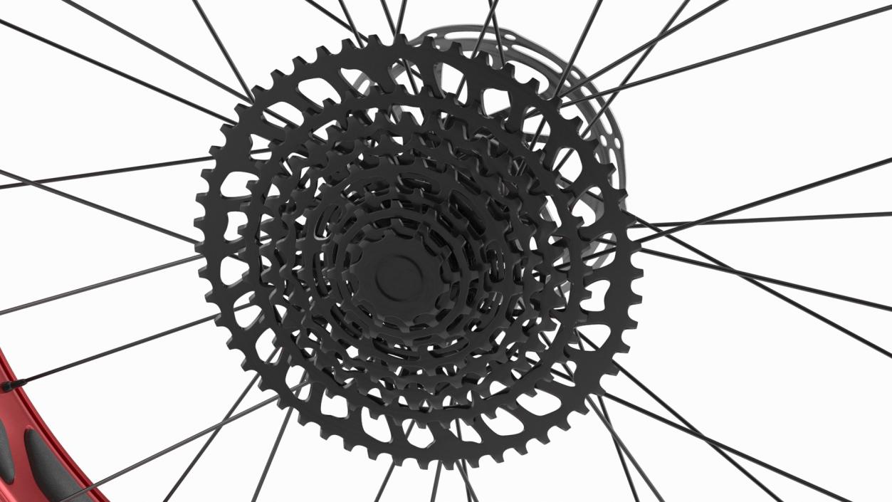 3D Fat Bike Wheel 2