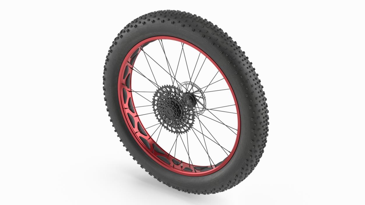 3D Fat Bike Wheel 2