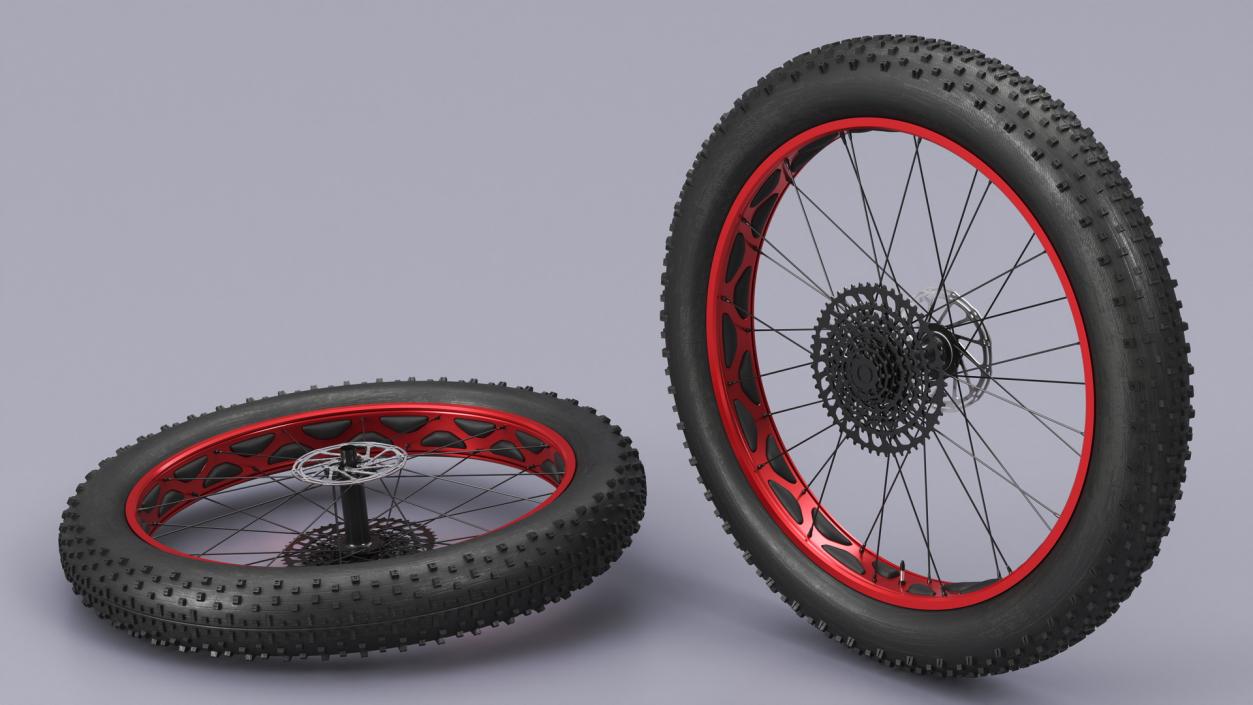 3D Fat Bike Wheel 2