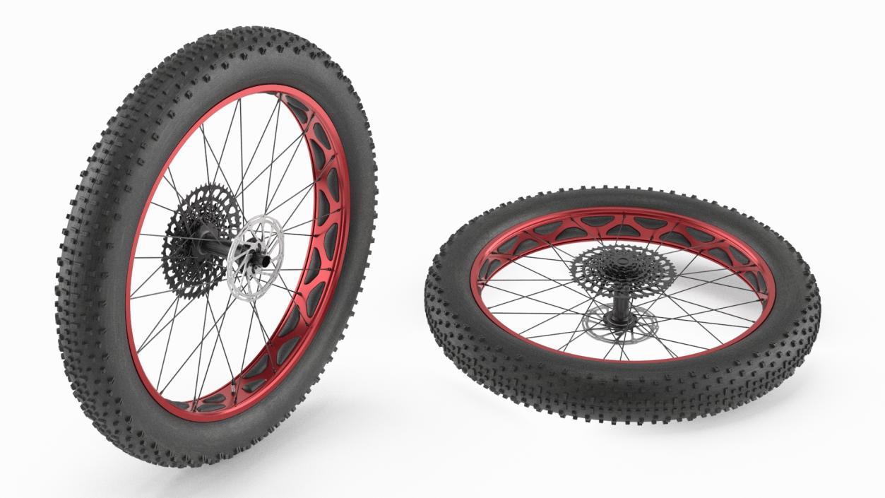 3D Fat Bike Wheel 2