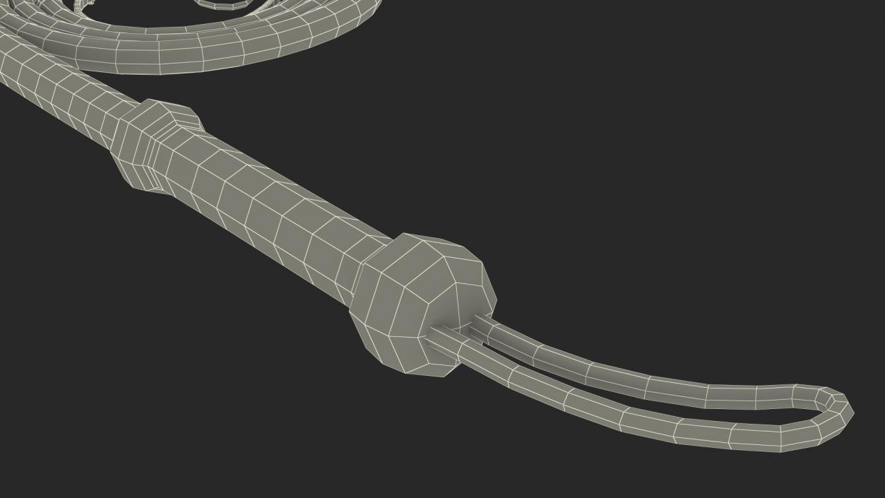 Cowboy Black Curved Whip 3D model