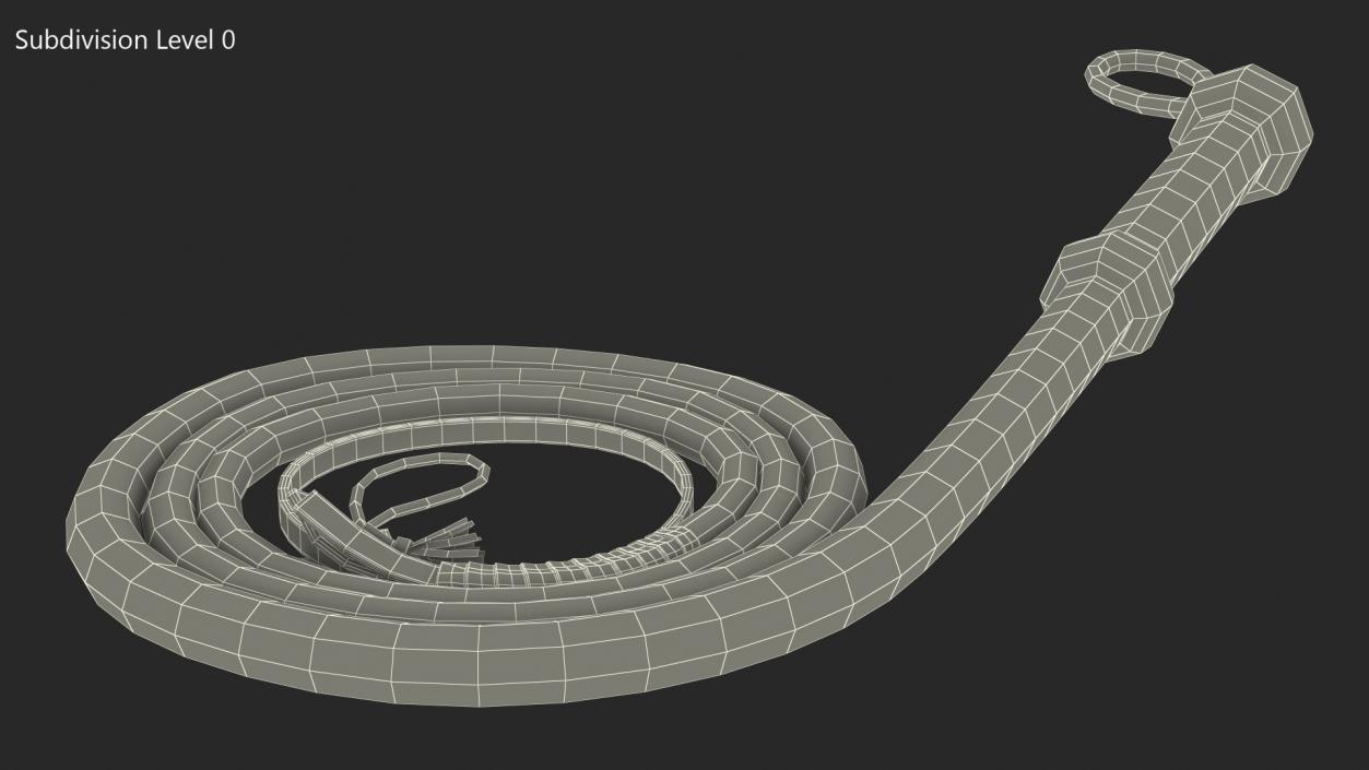 Cowboy Black Curved Whip 3D model