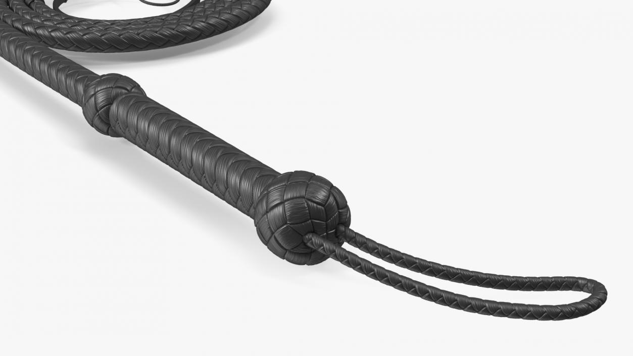 Cowboy Black Curved Whip 3D model