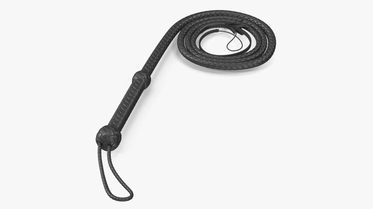 Cowboy Black Curved Whip 3D model