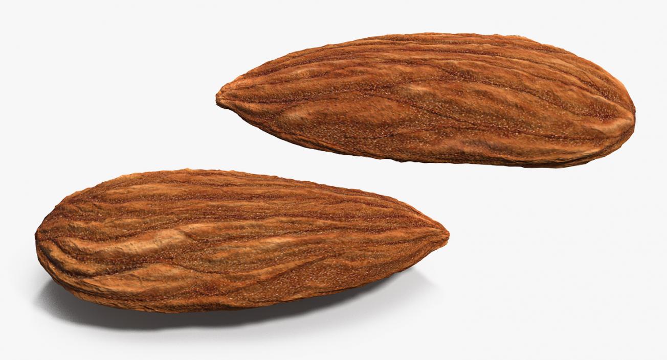 3D model Dry Almond