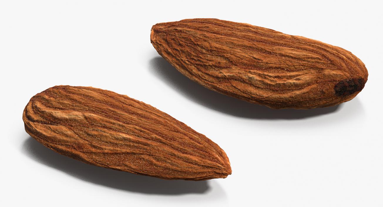 3D model Dry Almond