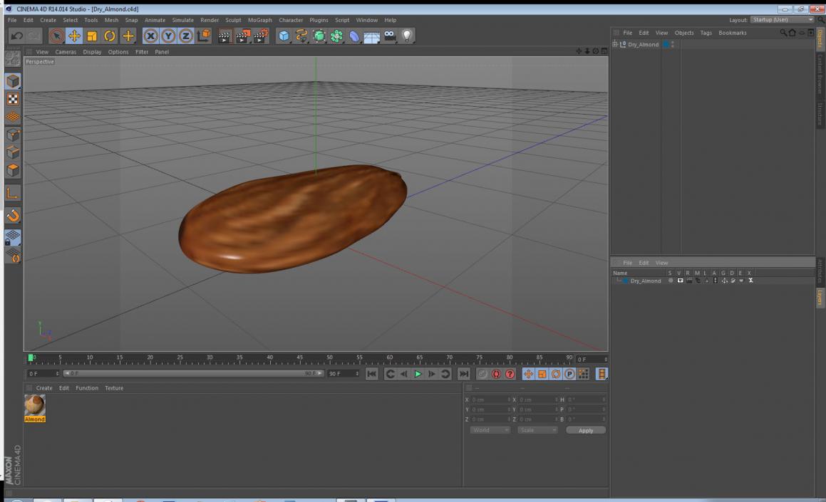 3D model Dry Almond