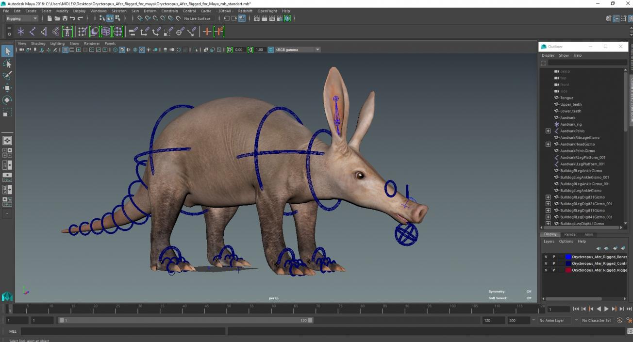 Orycteropus Afer Rigged for Maya 3D