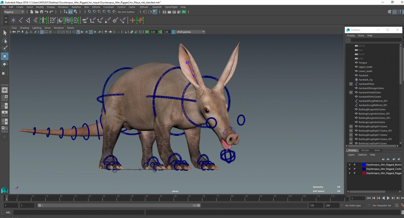 Orycteropus Afer Rigged for Maya 3D