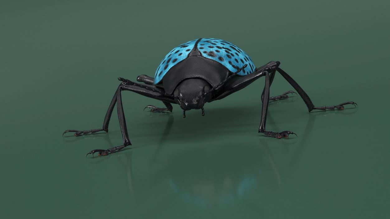 Rigged Beetles Fur Collection 3D model