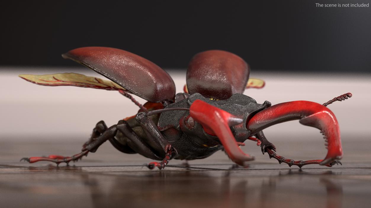 Rigged Beetles Fur Collection 3D model