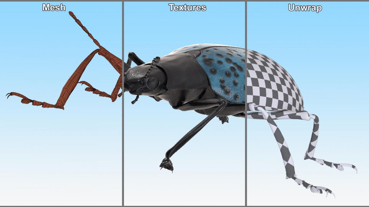 Rigged Beetles Fur Collection 3D model