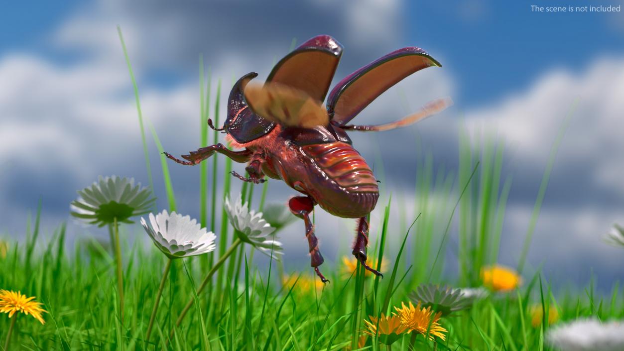 Rigged Beetles Fur Collection 3D model