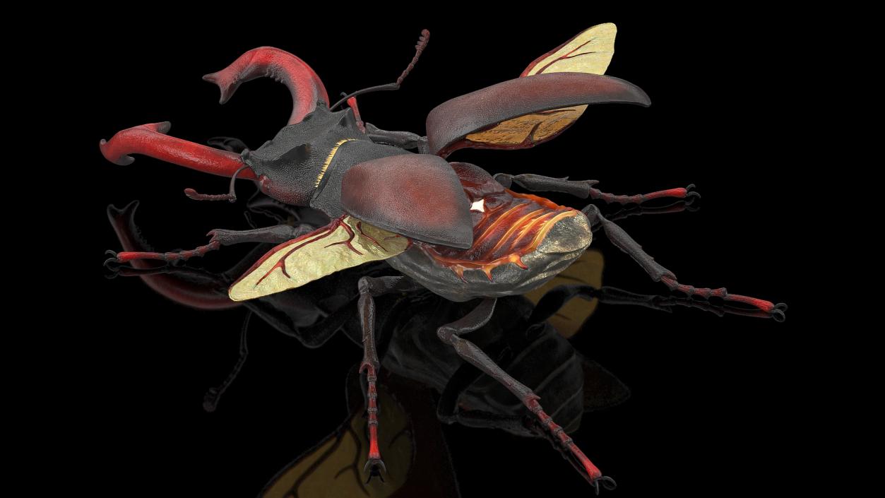 Rigged Beetles Fur Collection 3D model