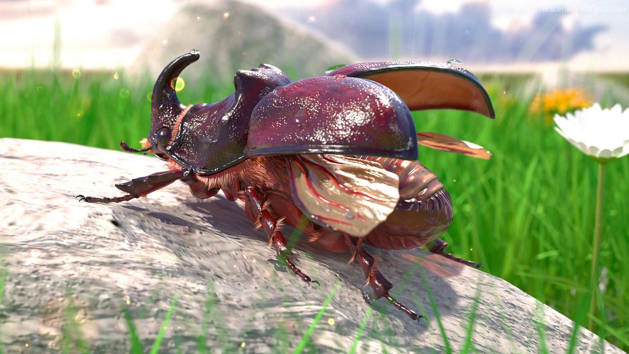 Rigged Beetles Fur Collection 3D model