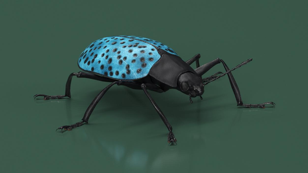 Rigged Beetles Fur Collection 3D model