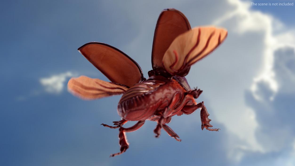 Rigged Beetles Fur Collection 3D model