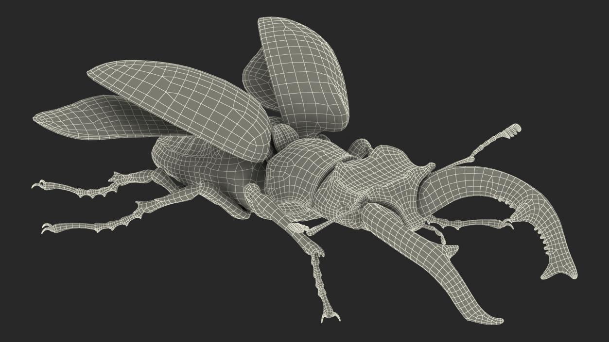 Rigged Beetles Fur Collection 3D model