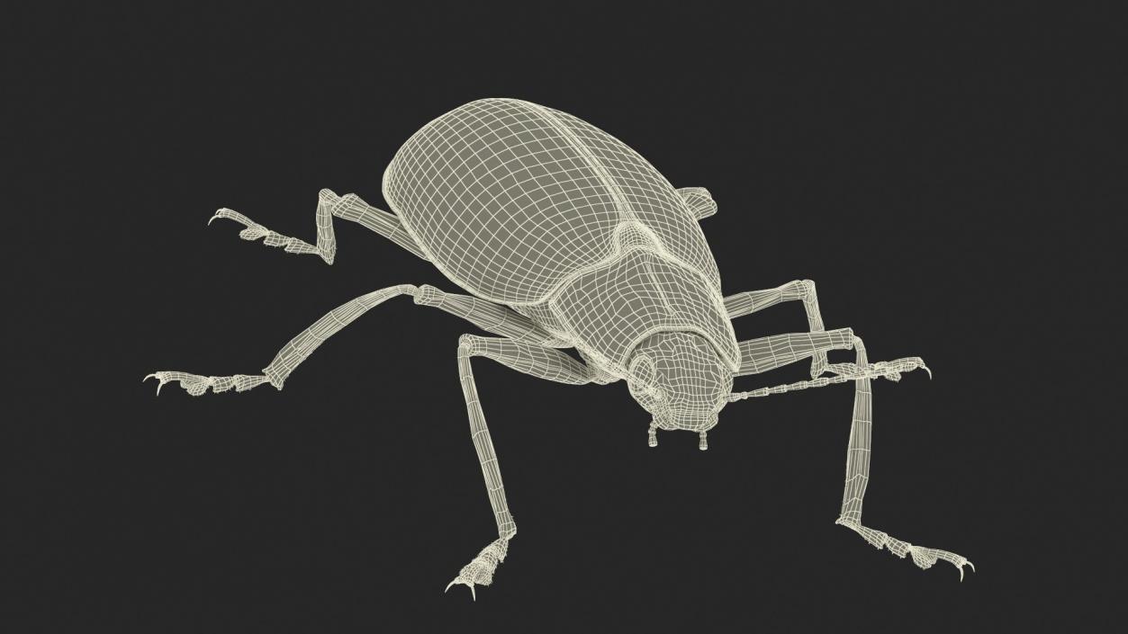 Rigged Beetles Fur Collection 3D model