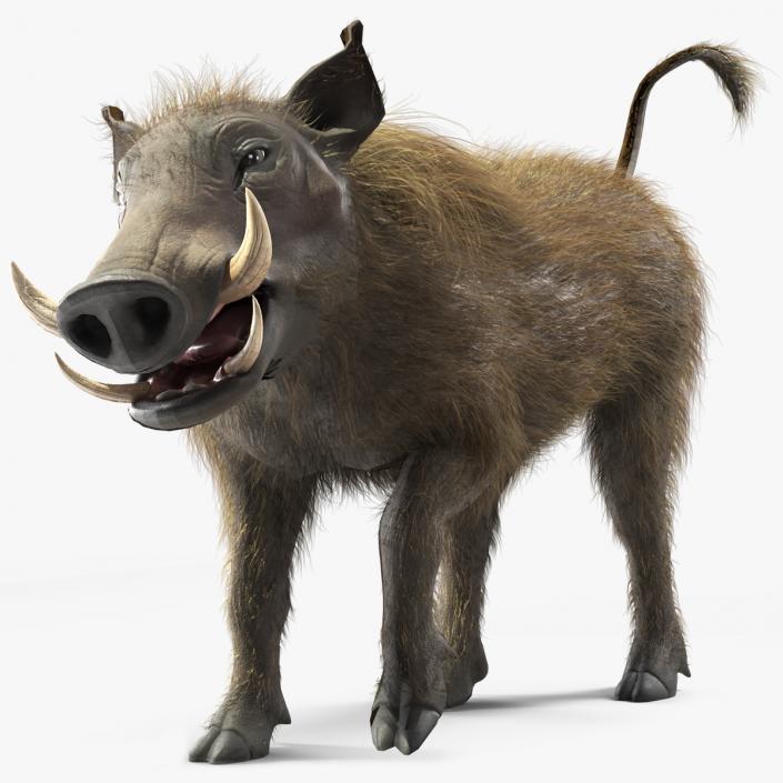 3D model Warthog Fur Rigged 2