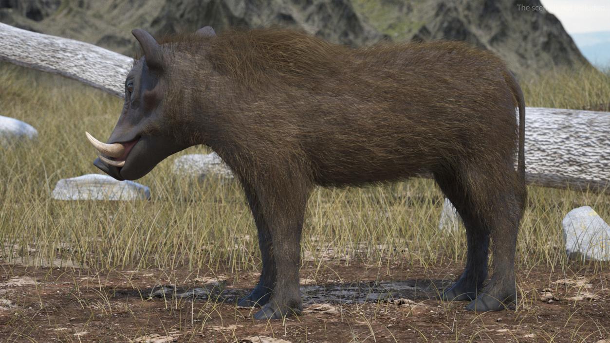 3D model Warthog Fur Rigged 2