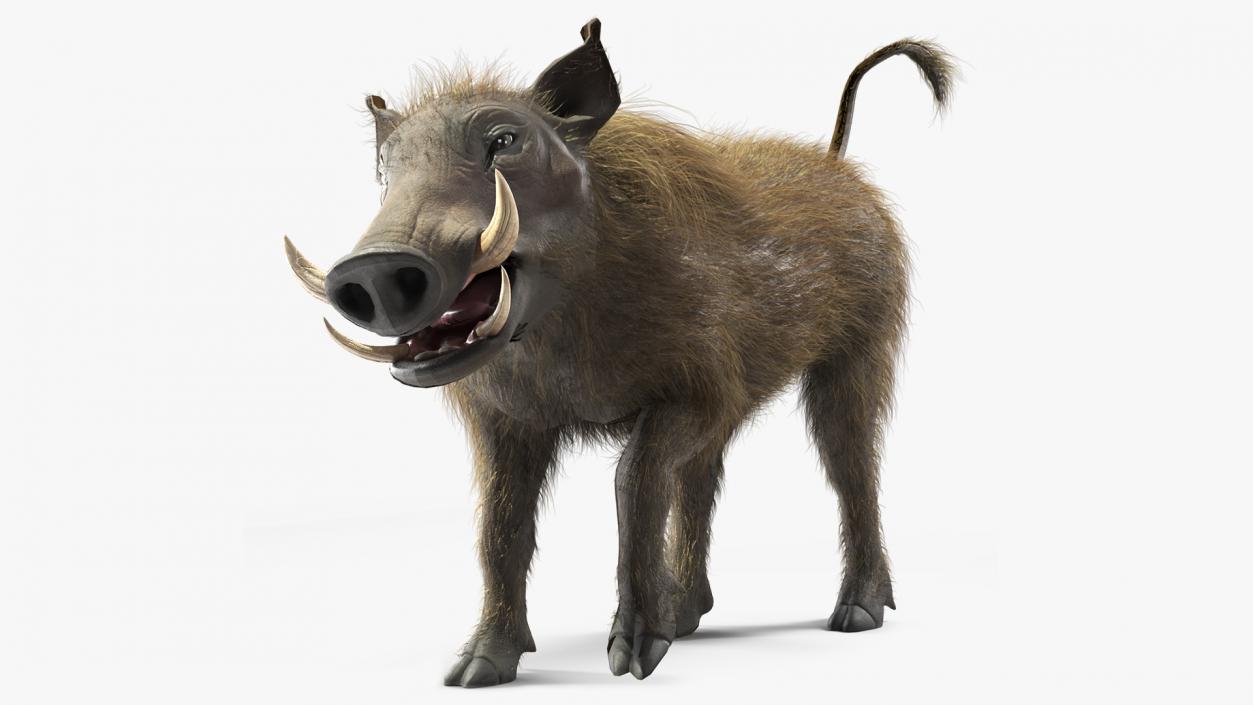 3D model Warthog Fur Rigged 2