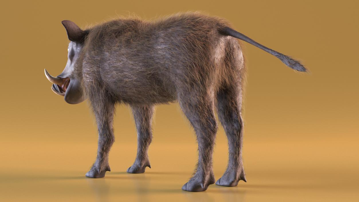 3D model Warthog Fur Rigged 2