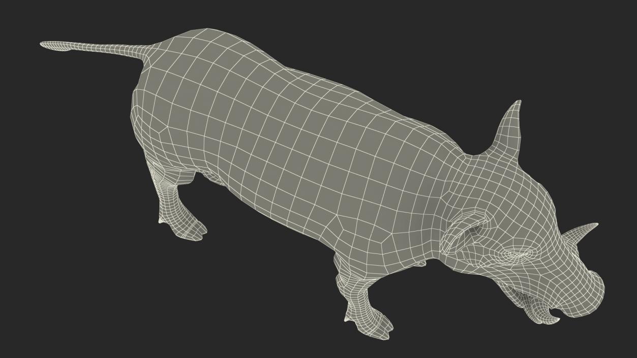 3D model Warthog Fur Rigged 2