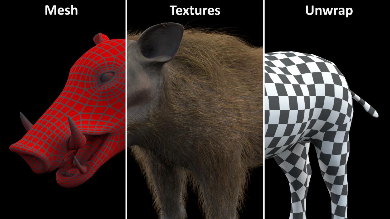 3D model Warthog Fur Rigged 2