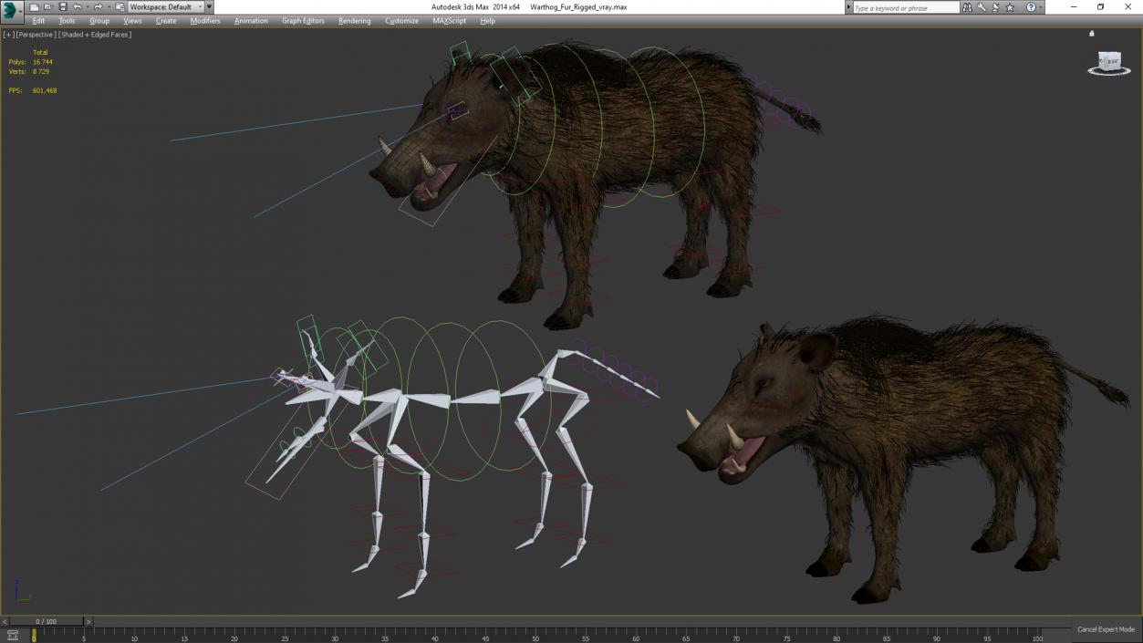 3D model Warthog Fur Rigged 2