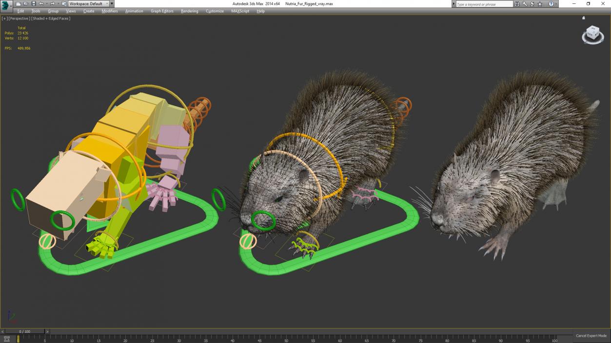 Nutria Fur Rigged 3D