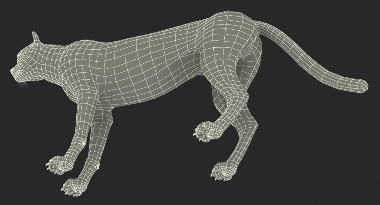 Cheetah 3D model