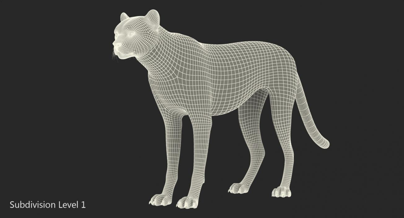 Cheetah 3D model