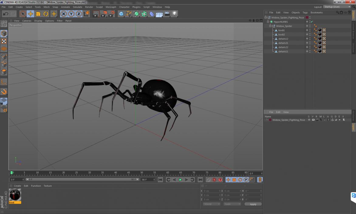 3D Widow Spider Fighting Pose