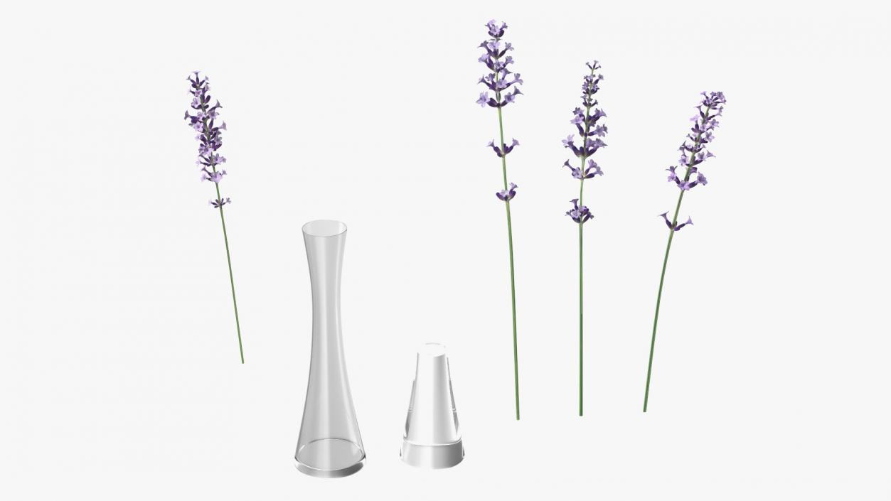 3D Vase with Lavender Flowers