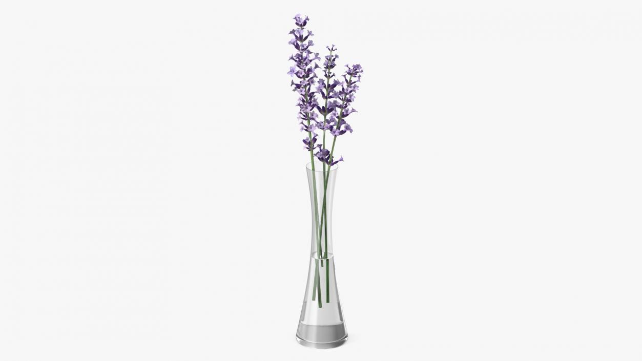 3D Vase with Lavender Flowers