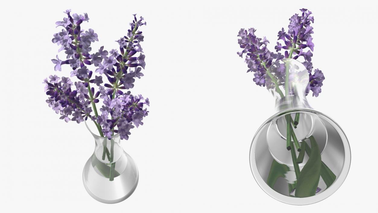 3D Vase with Lavender Flowers