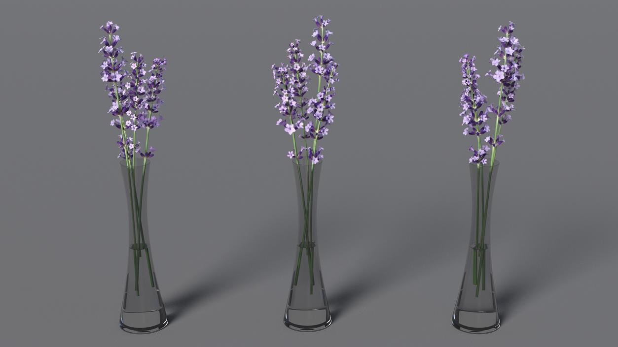 3D Vase with Lavender Flowers