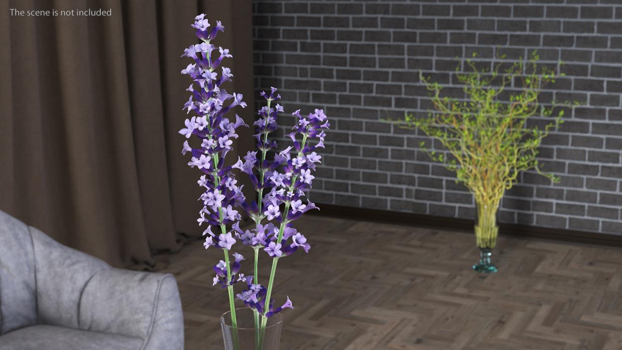 3D Vase with Lavender Flowers