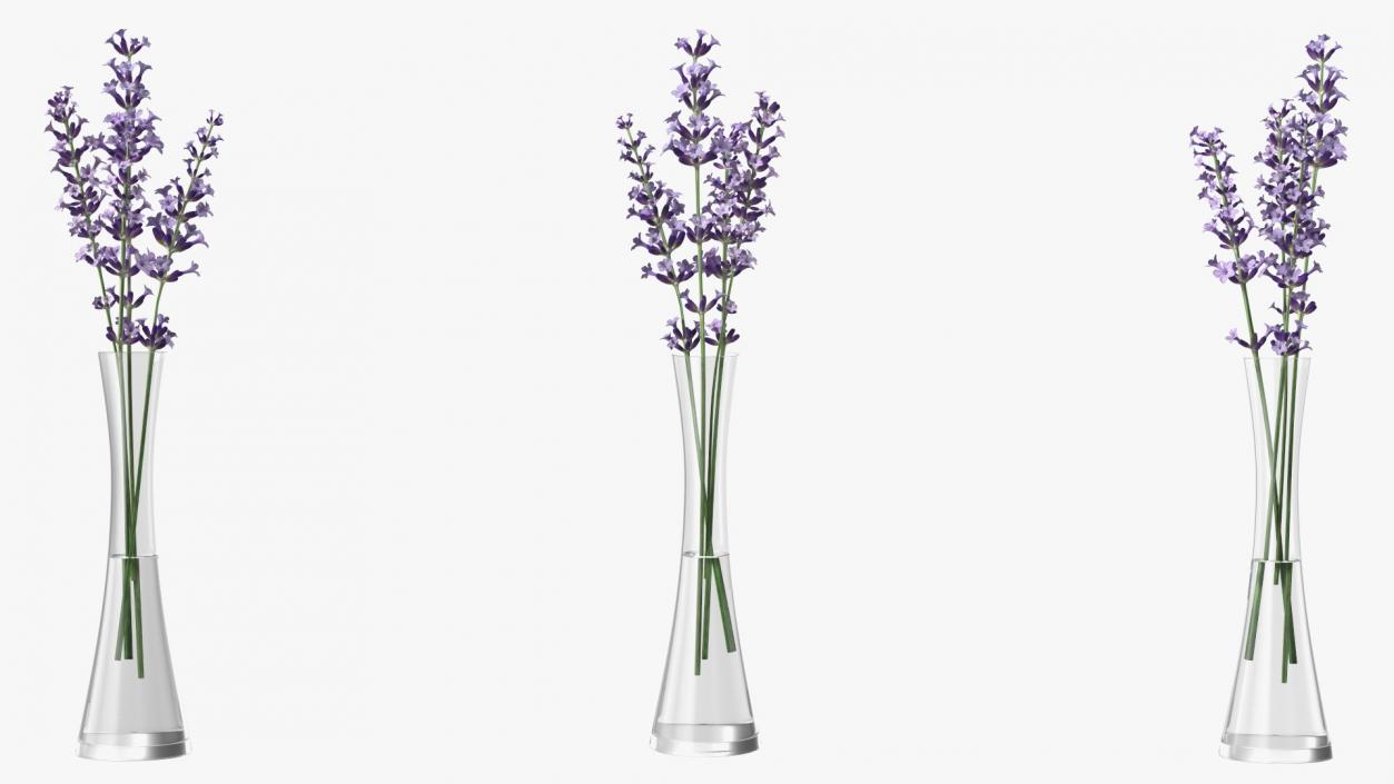 3D Vase with Lavender Flowers