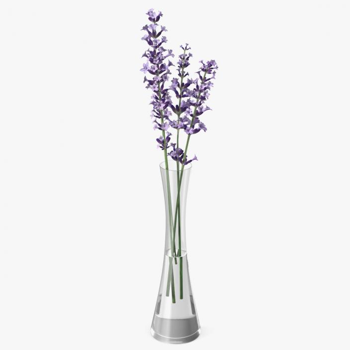 3D Vase with Lavender Flowers